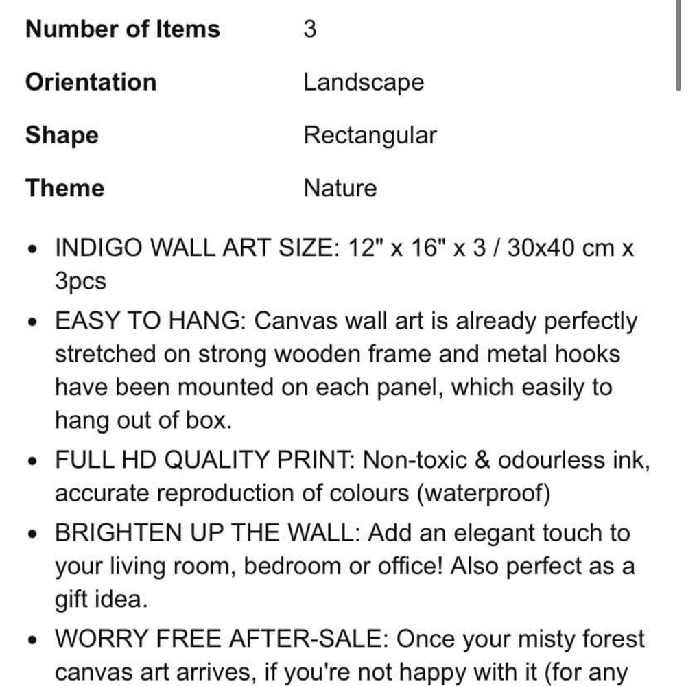 3 canvas set